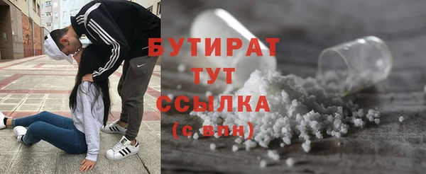 индика Горнозаводск