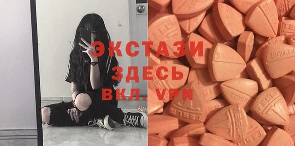 индика Горнозаводск