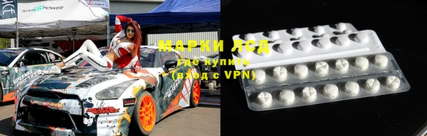 индика Горнозаводск