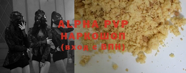 индика Горнозаводск