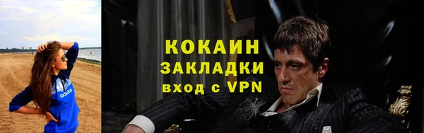 индика Горнозаводск