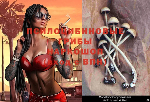 тгк Медвежьегорск