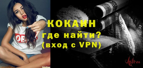 индика Горнозаводск