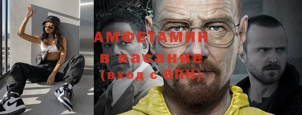 индика Горнозаводск