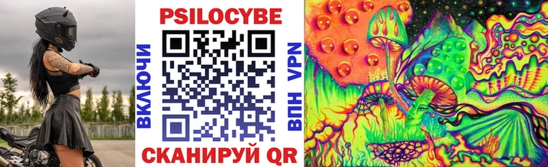 сайты даркнета как зайти  Могоча  Псилоцибиновые грибы Psilocybine cubensis 