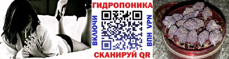 МАРИХУАНА MAZAR  магазин продажи   Могоча 