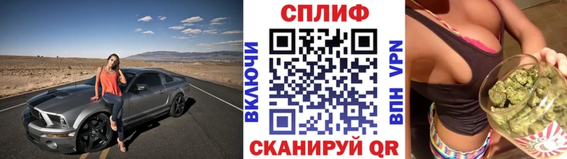 Конопля планчик Могоча